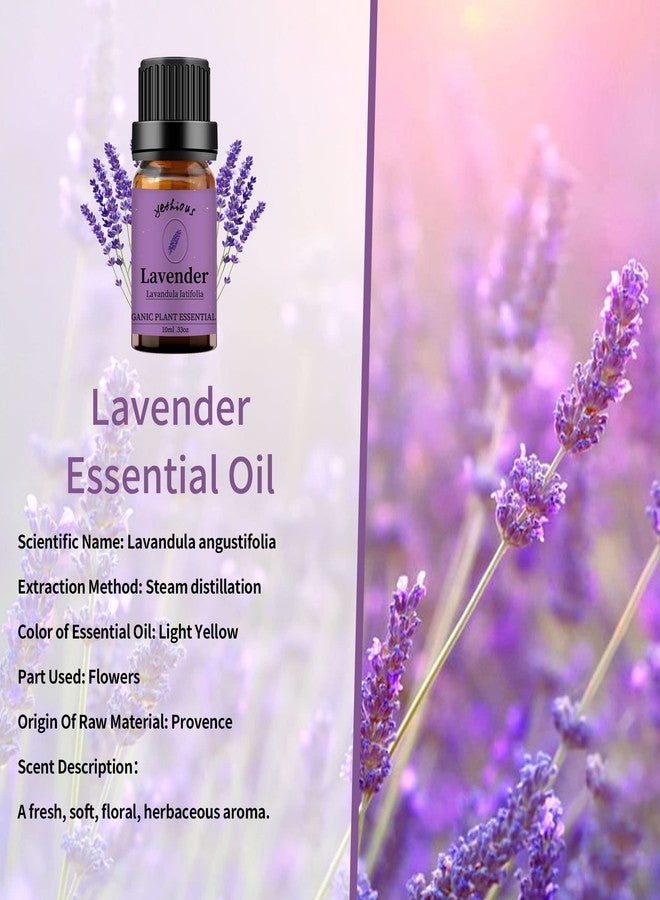 yethious Lavender Eucalyptus Essential Oil Organic Pure Plant Lavender Oil Essential Oil for Diffuser, Skin, Hair Care - Image 3